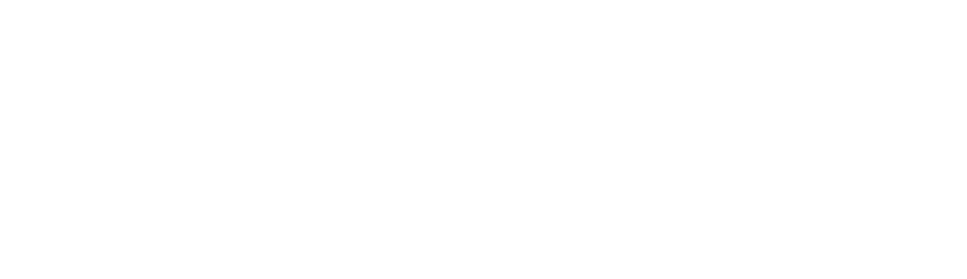 Logo Selecu